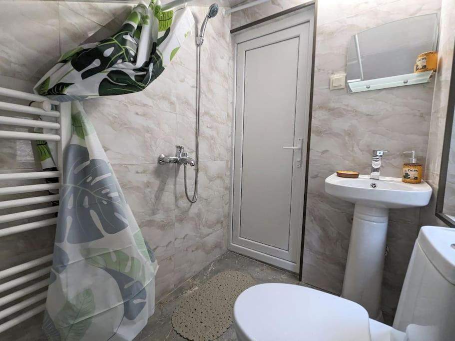Unforgettable Attic With Balcony In Borjomi Apartment Bagian luar foto