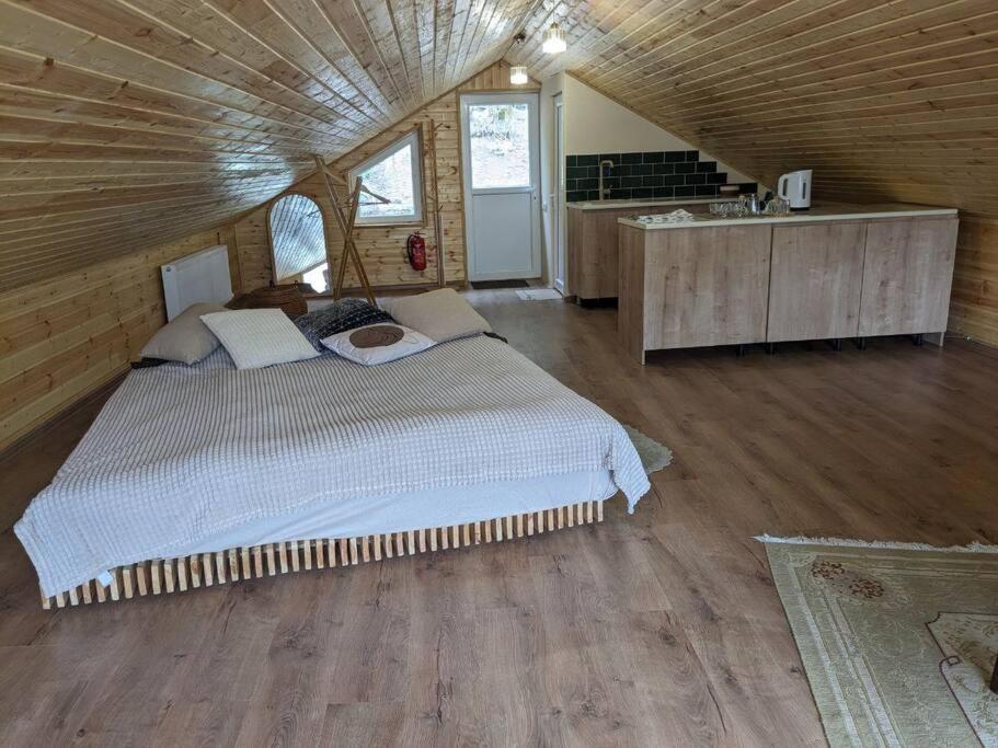 Unforgettable Attic With Balcony In Borjomi Apartment Bagian luar foto